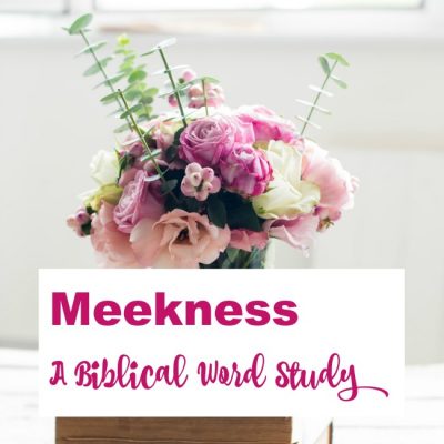 Meekness – A Biblical Word Study