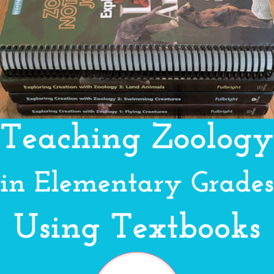 FREE Zoo Scavenger Hunt PDF | Teaching Zoology in Elementary Grades