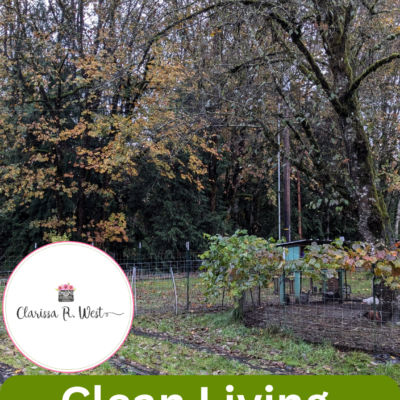 Clean Living | Best Resources for Natural Life