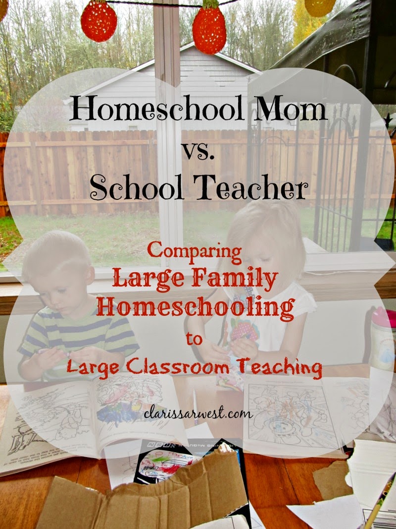 Homeschool Mom vs. School Teacher