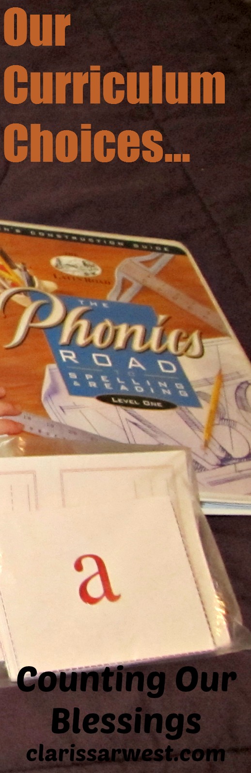 Curriculum Plans ~ K5, 1, & 4