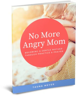 help for the angry mom