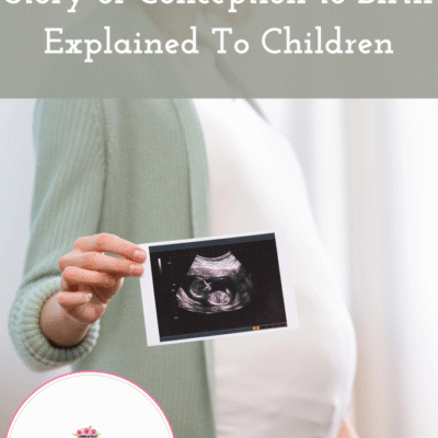 Wonderfully Made – A Children’s Book Review