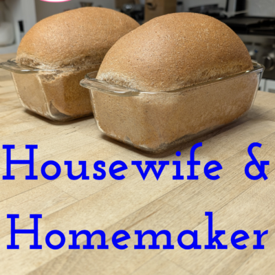Housewife and Homemaker Word Study