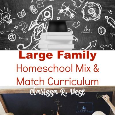 Large Family Homeschool Mix And Match Curriculum