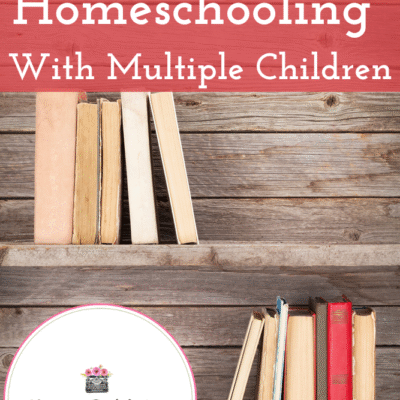 Literature-Based Homeschooling With Multiple Children