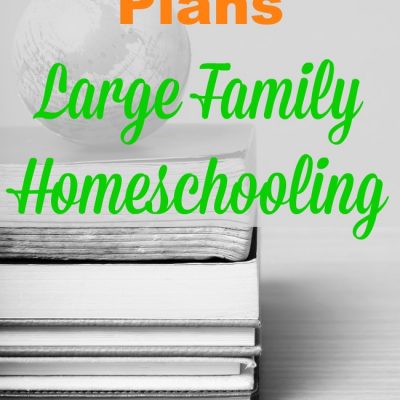 8th-Grade Curriculum Plans | Large Family Homeschooling