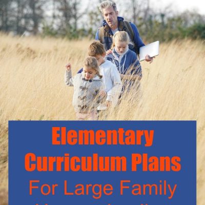 Elementary Curriculum Plans | Large Family Homeschooling