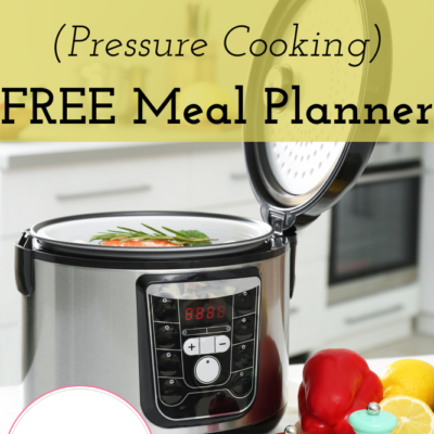 20 Frugal Instant Pot Meals (Pressure Cooking) | FREE Meal Planner
