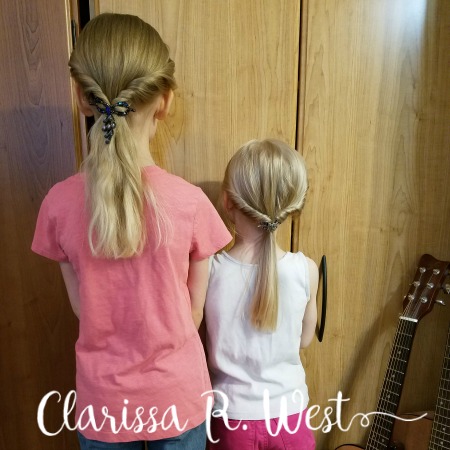 lilla rose flexi clips