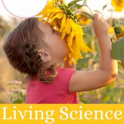 Living Science For Elementary Grades | FREE Printable Rose Life Cycle Activity