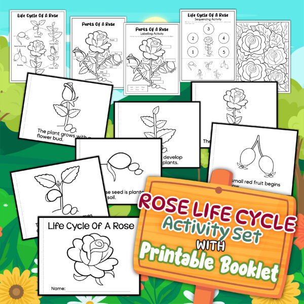 FREE ROSE LIFE CYCLE ACTIVITY SET WITH PRINTABLE BOOKLET