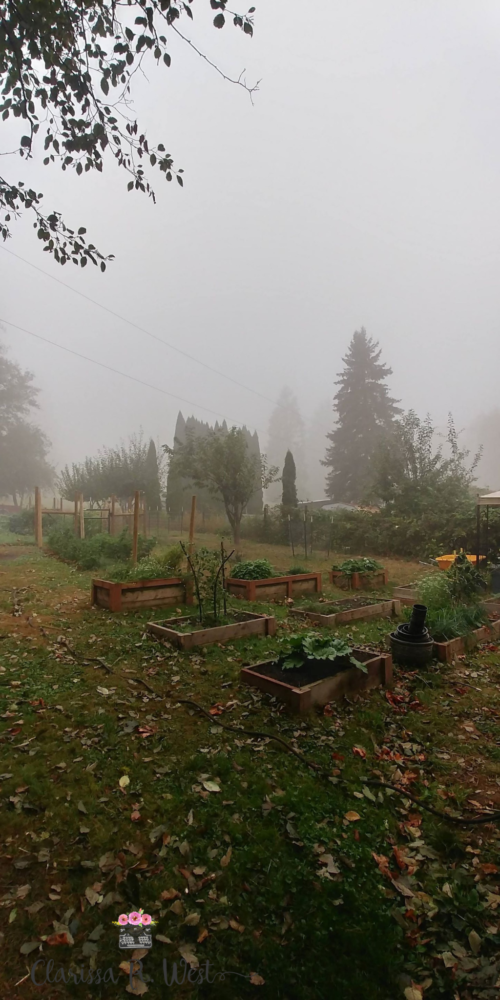 hygge garden
