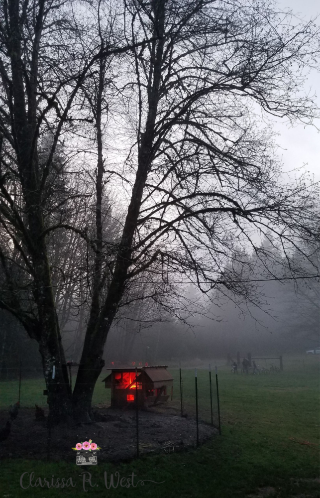 hygge hollow