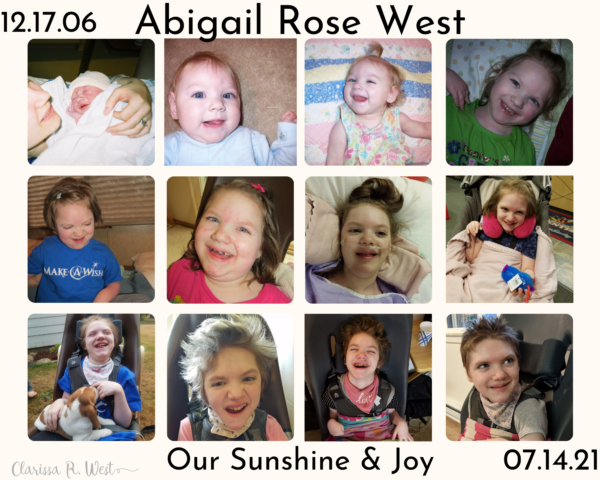 Abigail Rose collage