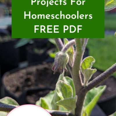 Cultivating Green Thumbs: Gardening Projects For Homeschoolers | FREE PDF