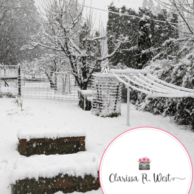 Homeschool Snow Days | What We Learned