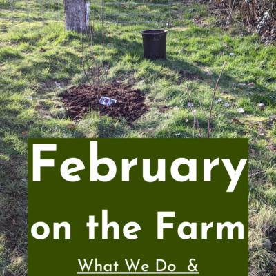 February on the Farm | What We Do & When We Do It + free printable tips