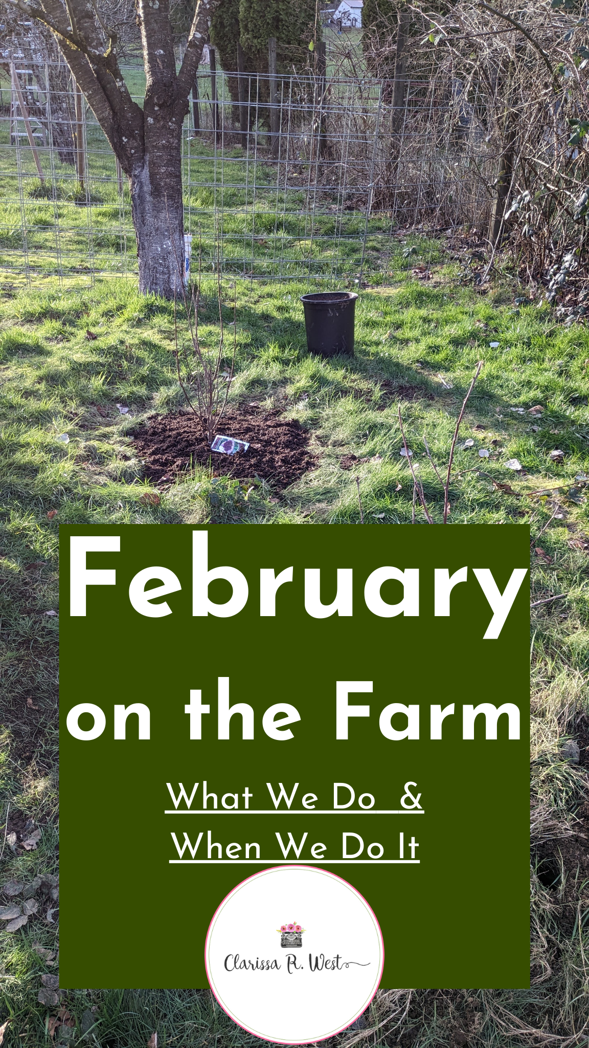February on the Farm - what we do and when we do it