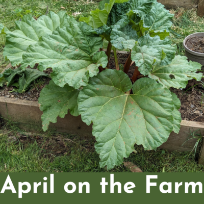 April on the Farm | FREE Printable