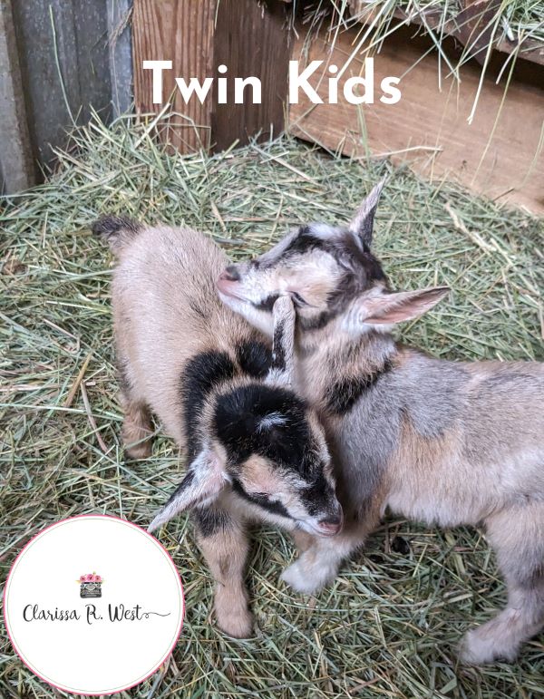 Twin Kids