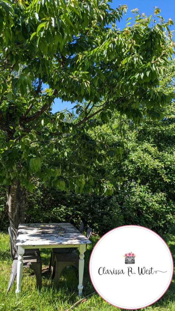 cherry tree over the table
