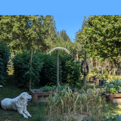 July on the Farm | FREE PDF