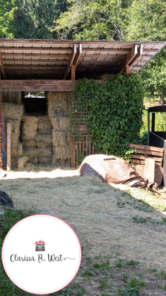 full hay barn