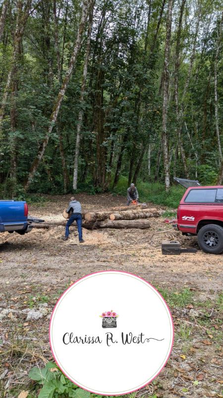 getting firewood dad and son 2024