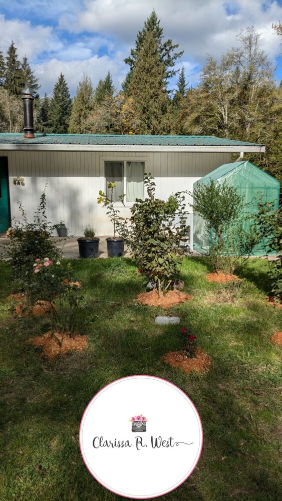Abigail Rose Garden