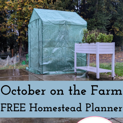 October on the Farm | FREE PDF