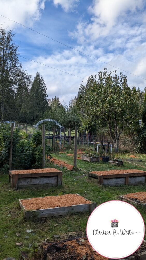 kitchen garden in october