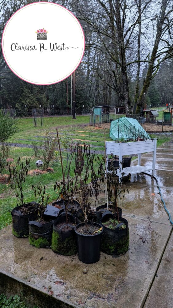 windstorm blew greenhouse away