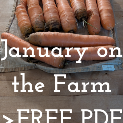 January on the Farm | FREE PDF Printable