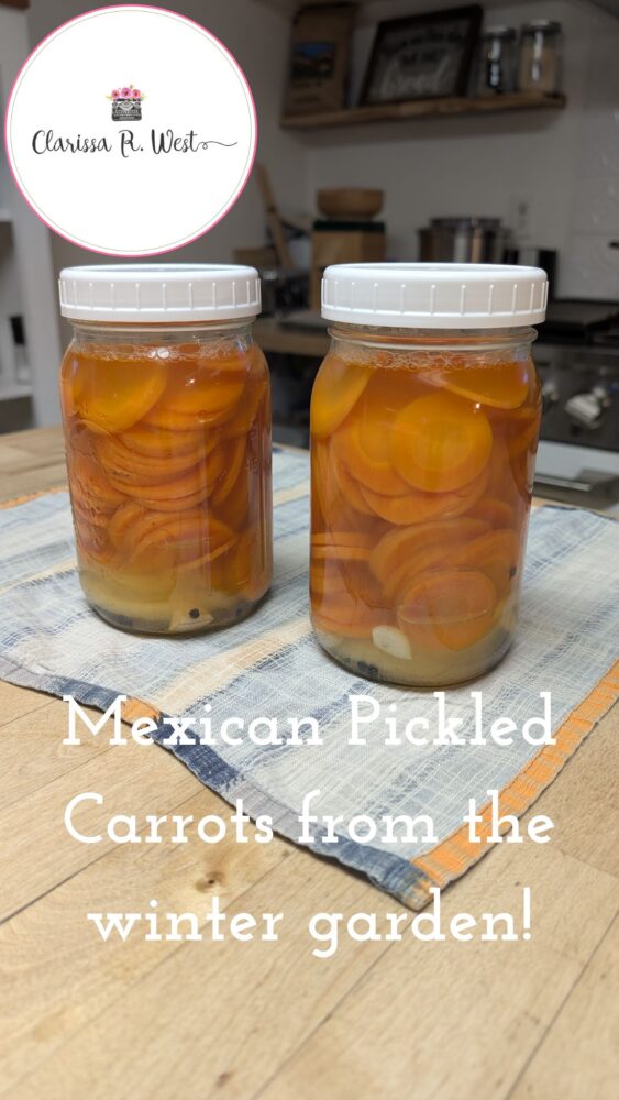 Mexican Pickled Carrots from the winter garden