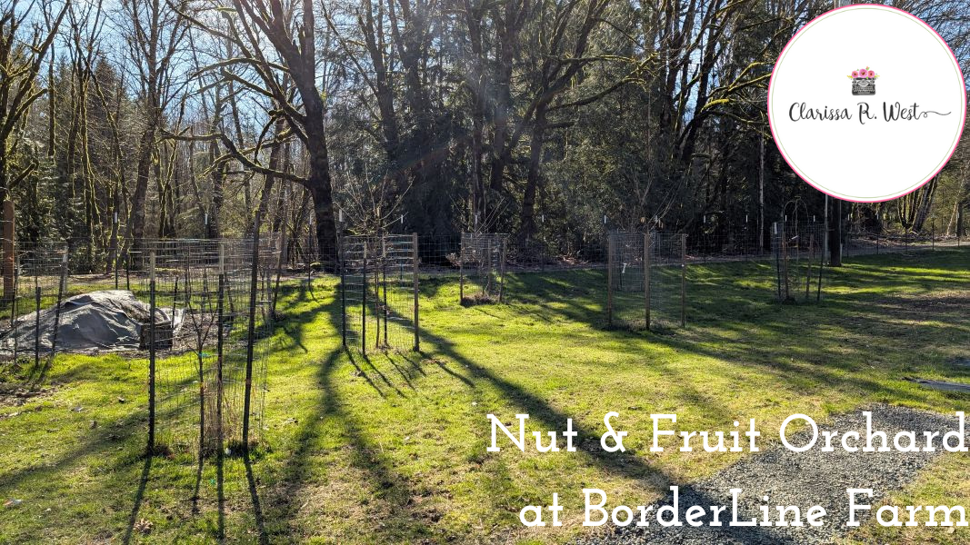 Nut & Fruit Orchard at BorderLine Farm