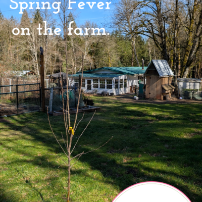 Plant the Tree + How To Cure Spring Fever on the Farm