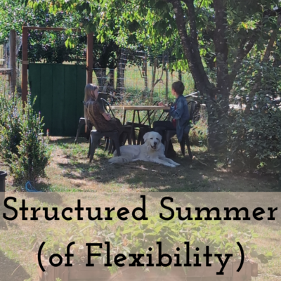 Structured Summer of Flexibility | FREE Planner