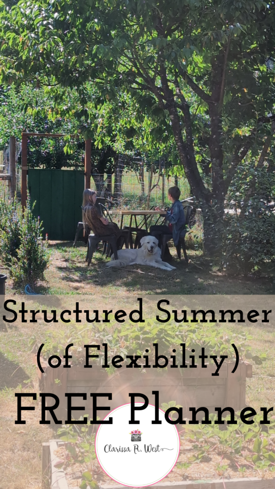 Structured Summer of Flexibility FREE Planner