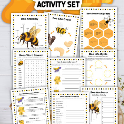 All About Honey Bees Activity Set | FREE PDF